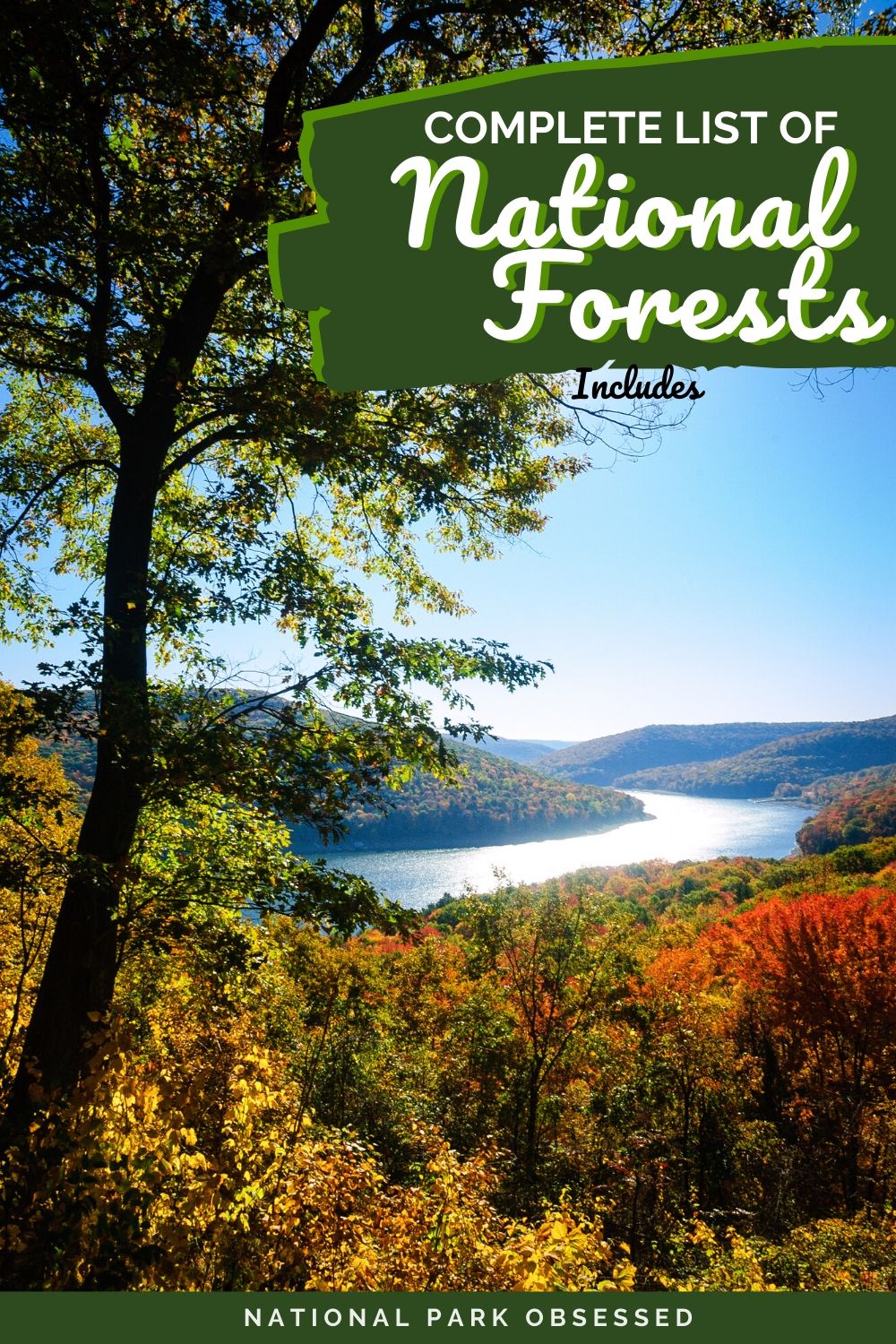 The Complete List Of US National Forests - National Park Obsessed