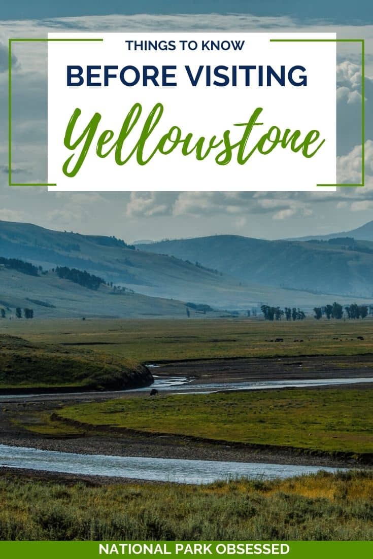 26 Things To Know Before Visiting Yellowstone National Park In 2024 ...