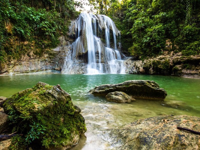A picturesque waterfall cascading into a serene, green pool surrounded by lush vegetation and moss-covered rocks in a tropical forest setting.