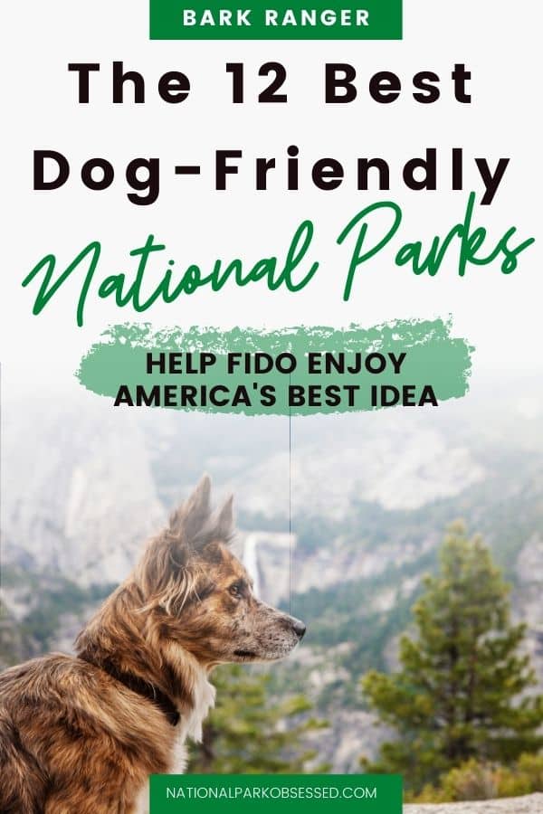 Wanting to explore a National Park with your dog?  Click HERE to learn about the most Dog-Friendly National Parks. We will help you find the right park for you and your dog. 

National Park with dogs / dogs in a National Park / National Park with pets / Pet-friendly National Park