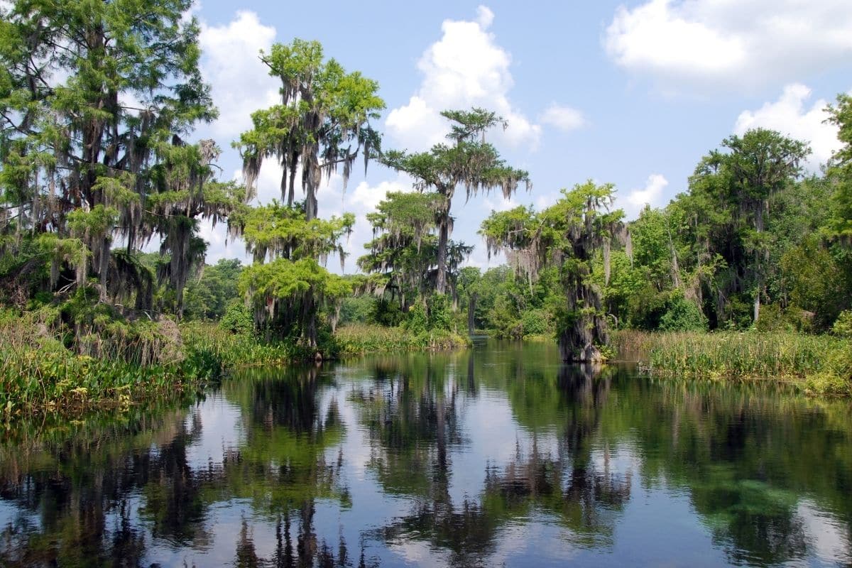 National Parks Of Florida - National Park Obsessed