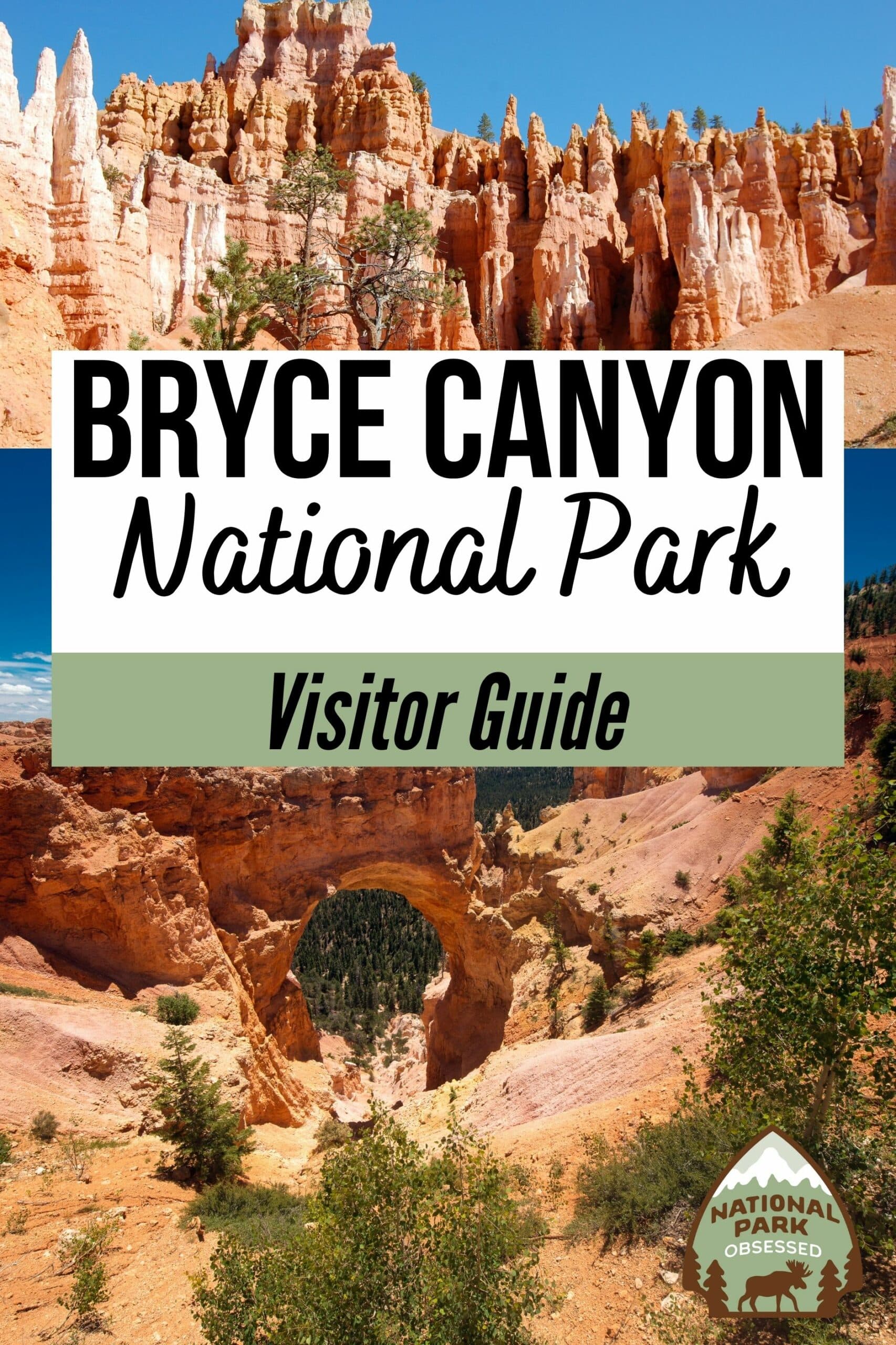 Are you planning a trip to Bryce Canyon National Park? Click here for the complete guide to visiting Bryce Canyon National Park written by a National Park Expert