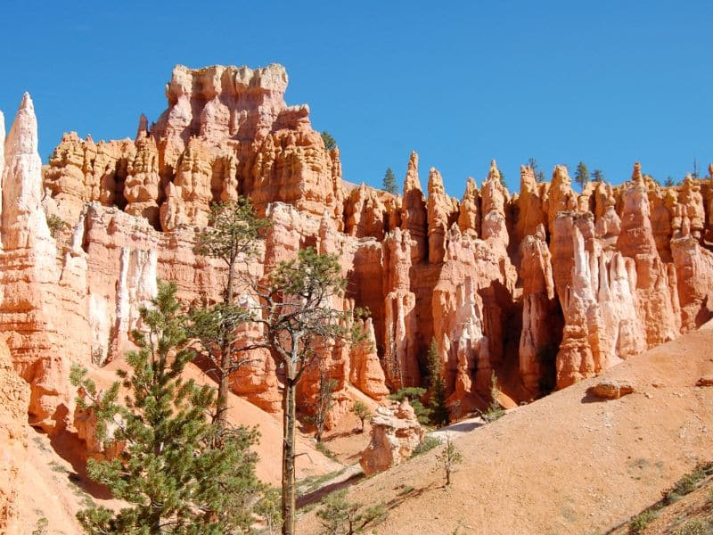 a stunning array of red and orange hoodoos and spires rising from the desert floor against a clear blue sky. Sparse greenery, including a few tall pine trees, adds contrast to the vibrant rock formations in Bryce Canyon National Park.