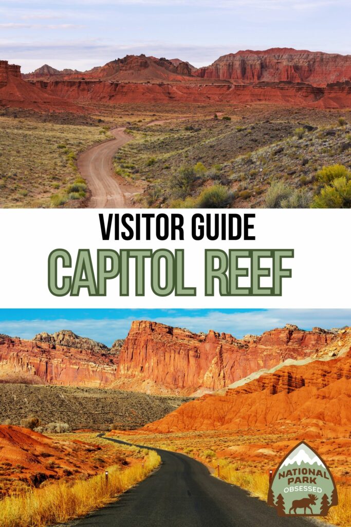 Are you planning a trip to Capitol Reef National Park? Click here for the complete guide to visiting Capitol Reef National Park written by a National Park Expert.