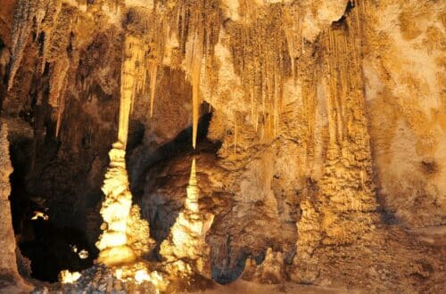 The image features the interior of a cave with numerous stalactites hanging from the ceiling and stalagmites rising from the ground, all illuminated by a warm, yellow light. The intricate formations create a dramatic and otherworldly atmosphere, highlighting the natural beauty and complexity of the cave's geology.
