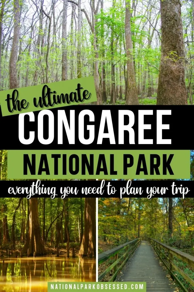 Are you planning a trip to Congaree National Park? Click here for the complete guide to visiting Congaree National Park written by a National Park Expert. 

getting to Congaree national park how to get to Congaree national park airport near Congaree national park Congaree South Carolina national park Congaree national park in South Carolina Congaree national park travel tips Congaree np South Carolina Congaree in South Carolina Congaree national park usa Congaree travel 