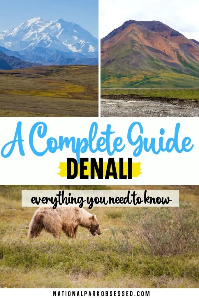 Are you planning a trip to Denali National Park? Click here for the complete guide to visiting Denali National Park written by a National Park Expert. 

getting to Denali national park how to get to Denali national park airport near Denali national park	Denali Alaska national park Denali national park in Alaska Denali national park travel tips Denali np Alaska Denali in Alaska Denali national park usa Denali travel Denali national park guide Denali park Alaska Denali national park travel guide