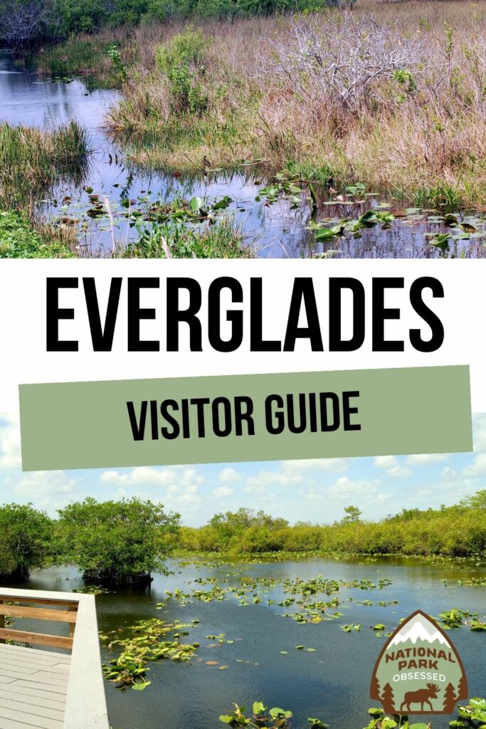 Everglades National Park - Anhinga Trail Travel Stamp – Travel Stamps