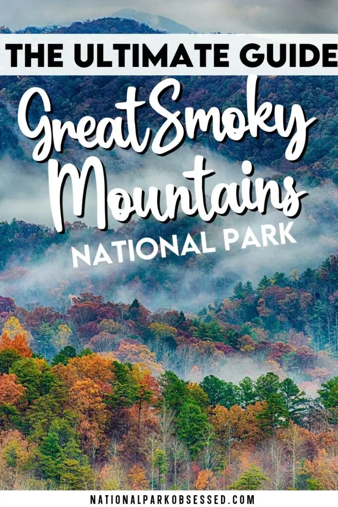 are dogs allowed in smoky mountain national park