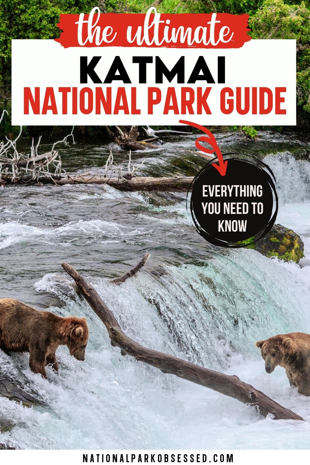 Visiting Katmai National Park And Preserve: The Complete Guide For 2024 ...