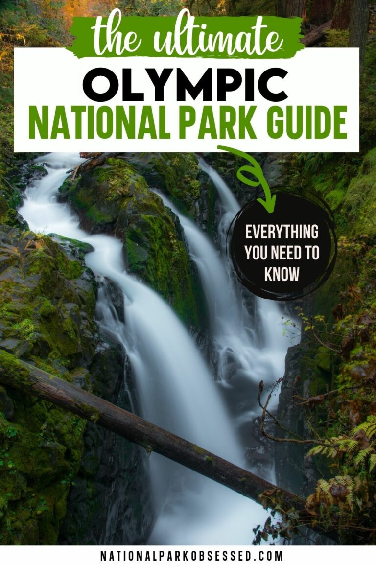 Visiting Olympic National Park: The Complete Guide In 2024 - National ...