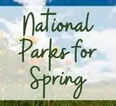 National Parks for Spring