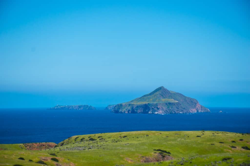 A view of East Anacapa Island and its green and yellow plants.