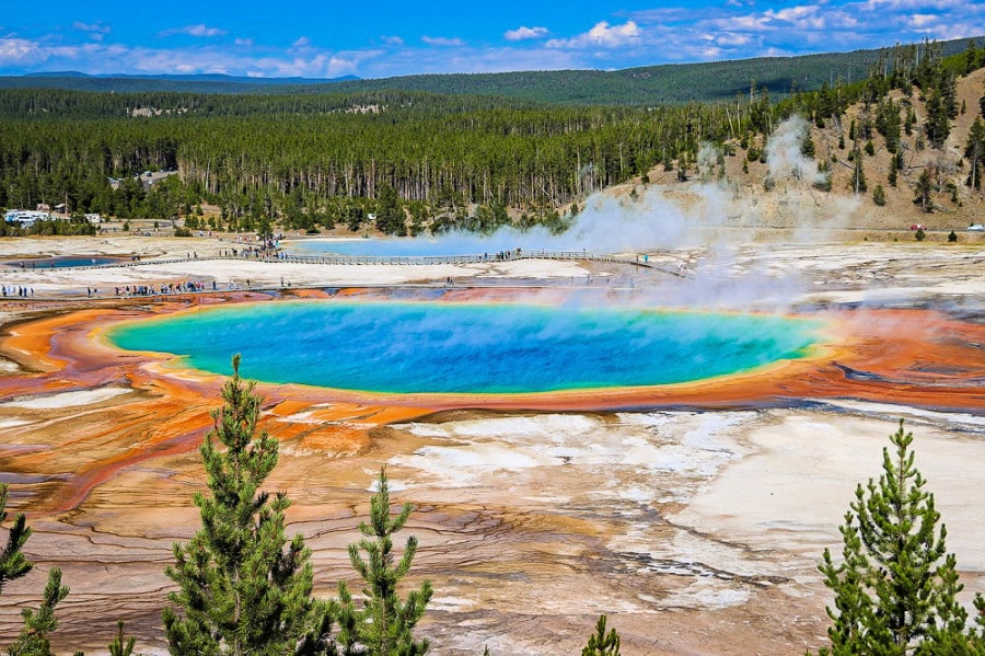 Yellowstone National Park Water Bottle by Mary Wilder