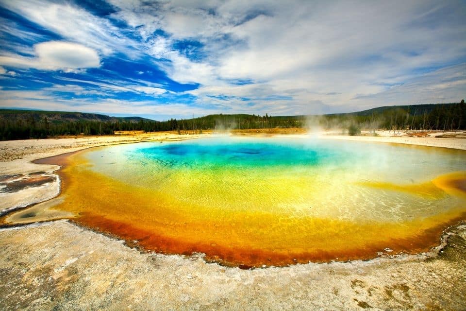 A vivid photograph of the Grand Prismatic Spring in Yellowstone National Park, showcasing brilliant hues of blue, green, yellow, and orange around the hot spring, with steam rising against a backdrop of evergreen forests under a blue sky.