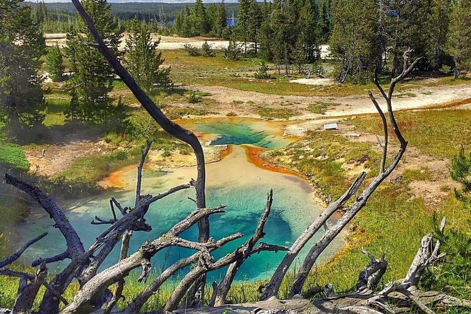 A scenic landscape of Yellowstone featuring colorful geothermal pools in the foreground, surrounded by a variety of geothermal features and lush greenery, with a forested backdrop.