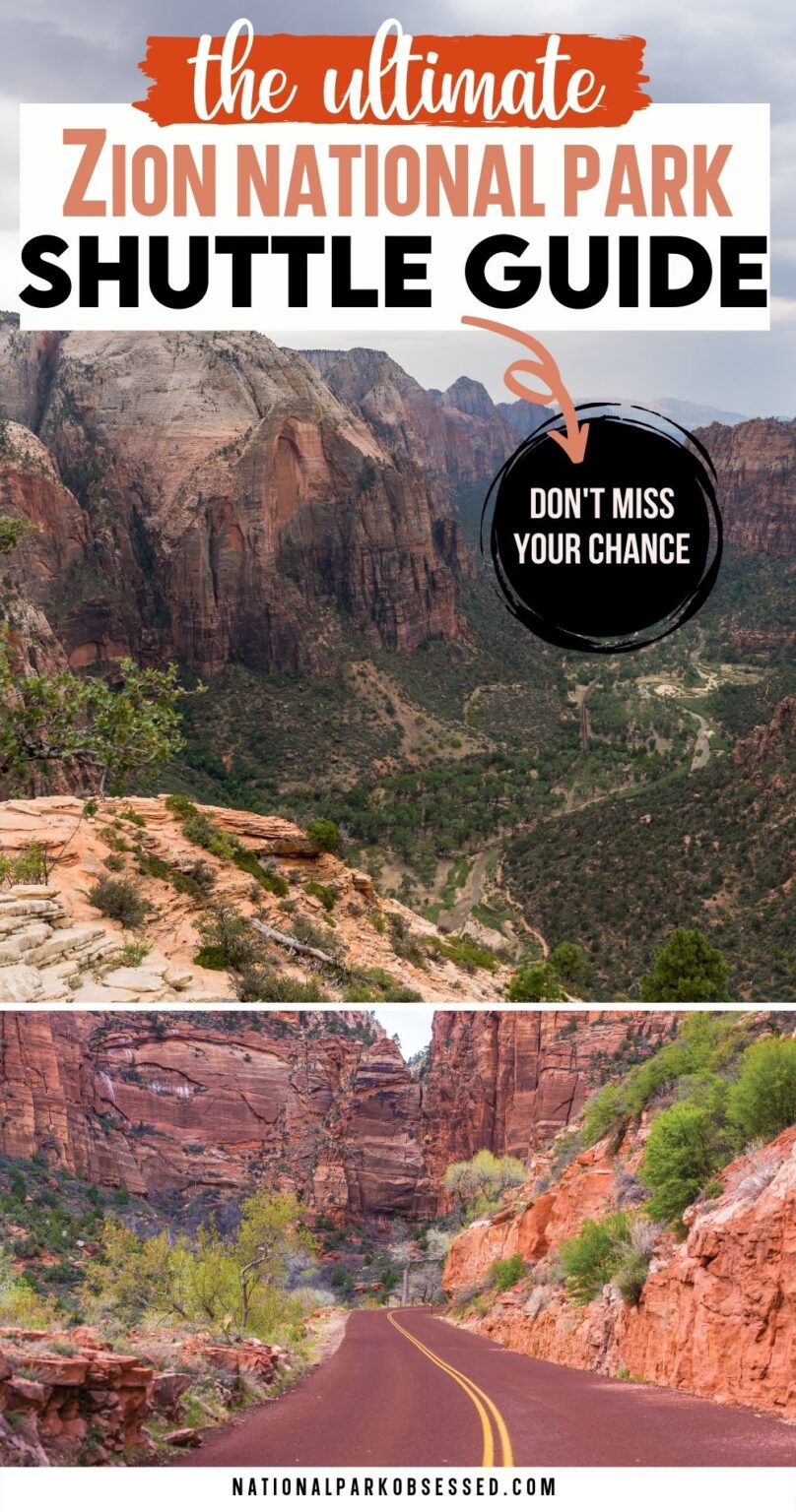 Zion Shuttle: What You Need To Know About Zion National Park Shuttles