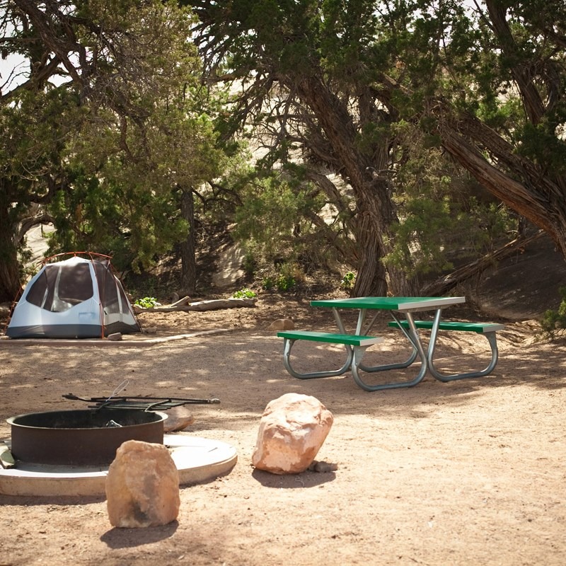 A tent and picnic table in the shade of a Pinion Pine in The Needles Campground in Canyonlands National Park