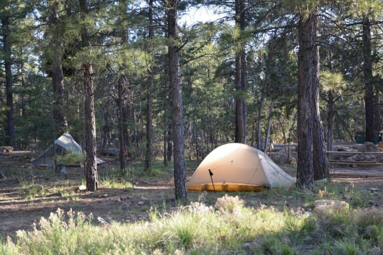 The Ultimate Guide To Camping In Grand Canyon National Park - National 