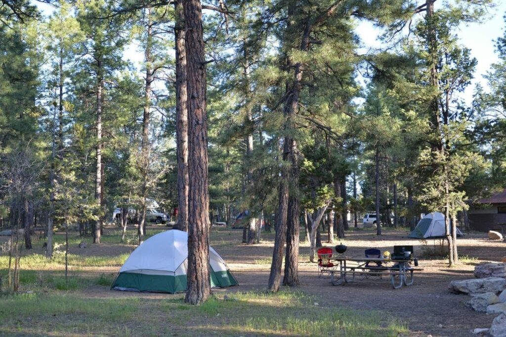 A green tent and picnic table in one of the grand canyon's campgrounds.  