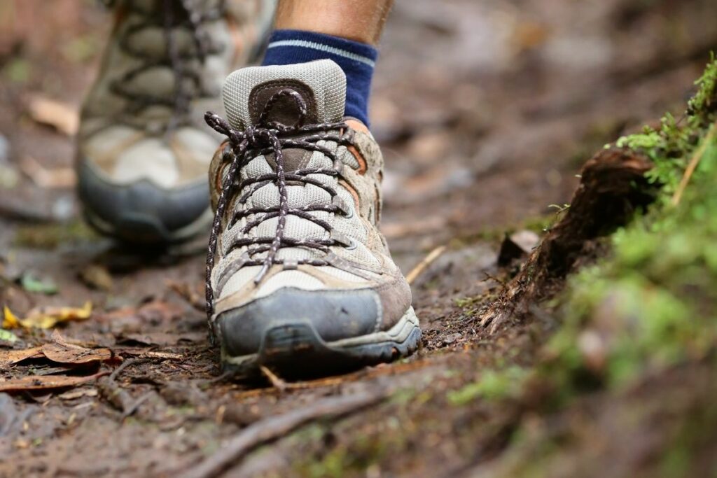 A picture of a hiker's shoes as they hike down the trail.