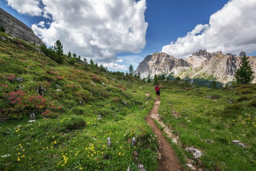 A person with red backpack on a hiking trail in the mountains with lush green landscapes and a rocky background