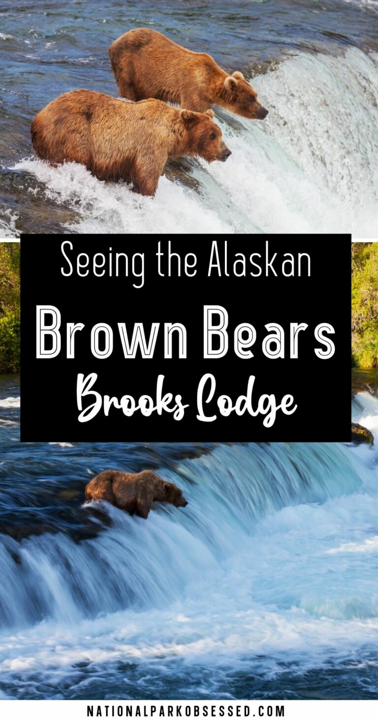 The Complete Guide To Brooks Lodge In Katmai National Park National