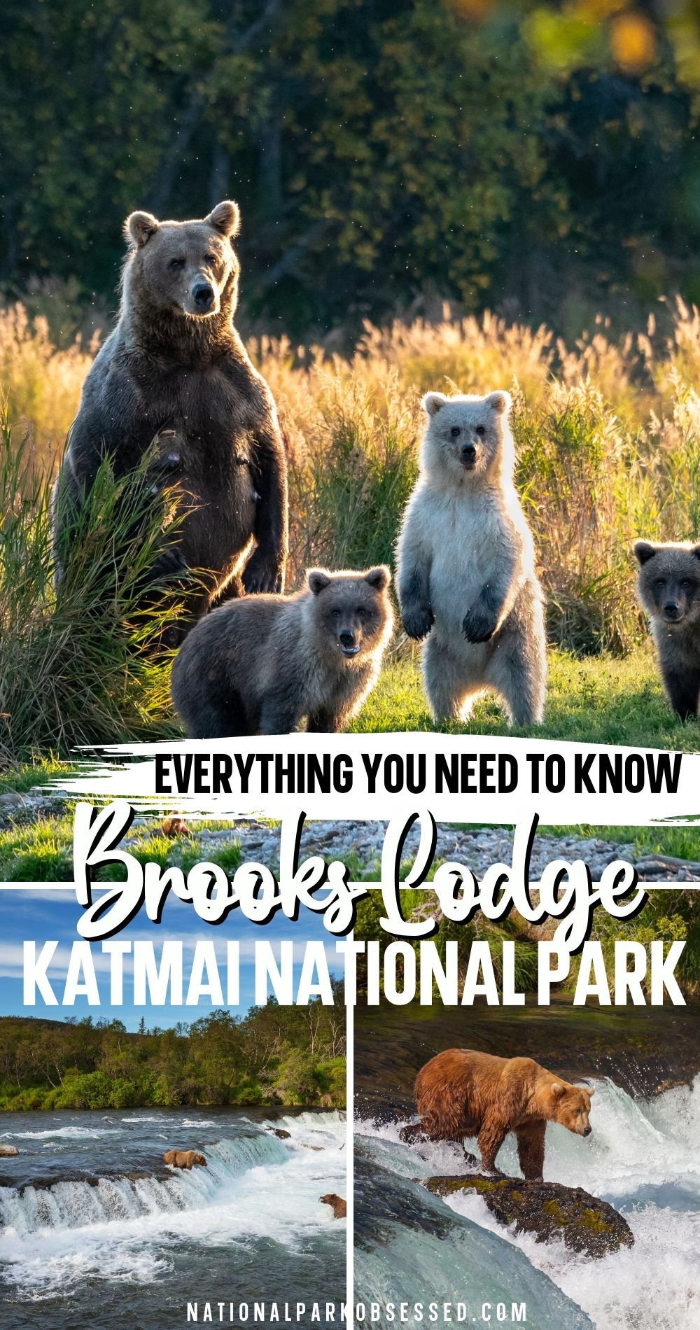 The Complete Guide To Brooks Lodge In Katmai National Park National