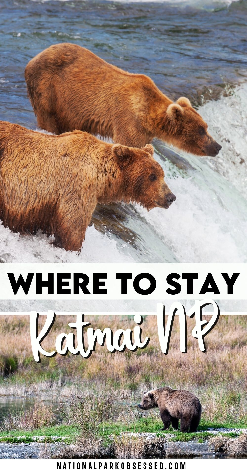 The Complete Guide To Brooks Lodge In Katmai National Park National