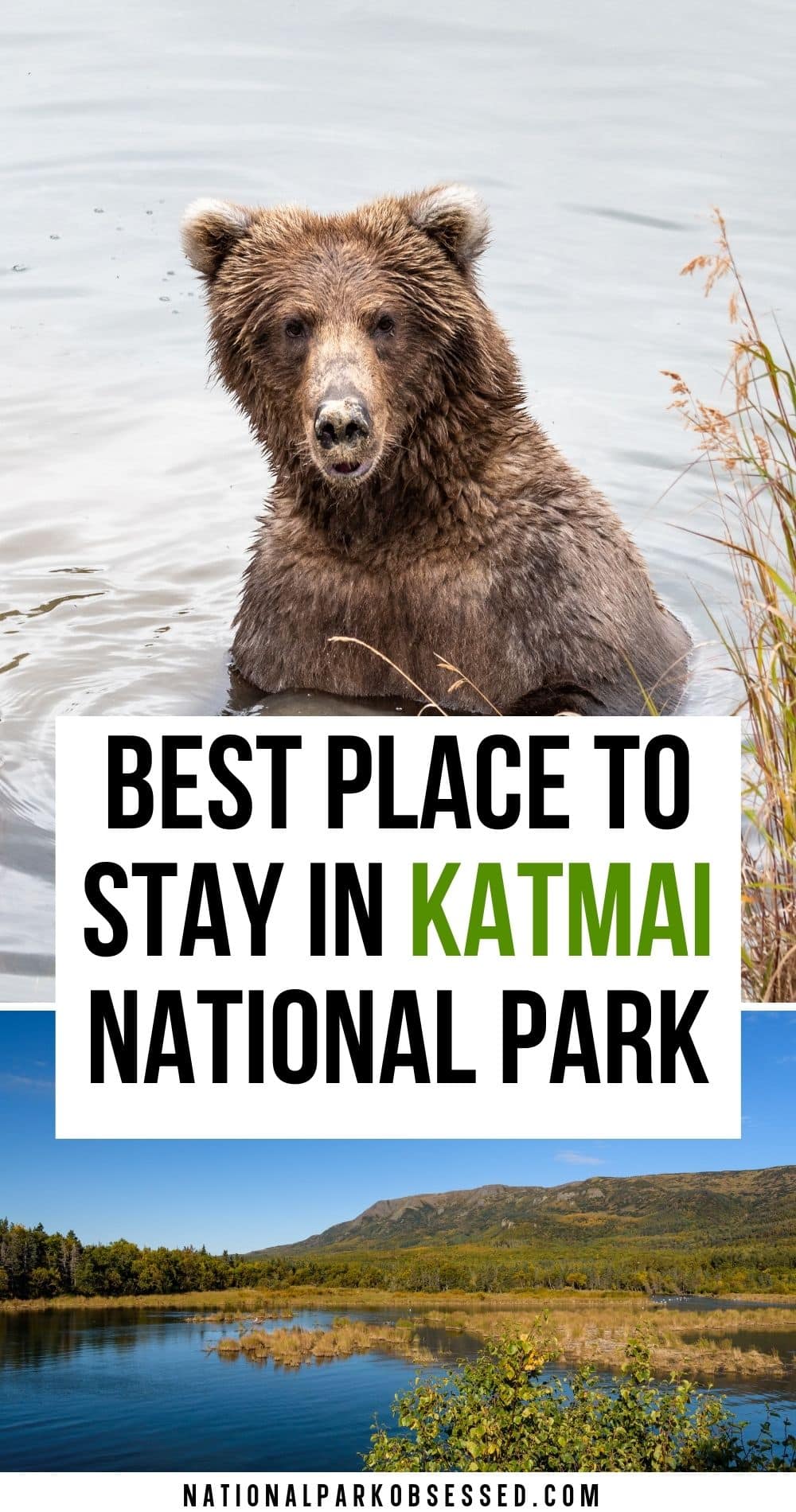 The Complete Guide To Brooks Lodge In Katmai National Park - National ...