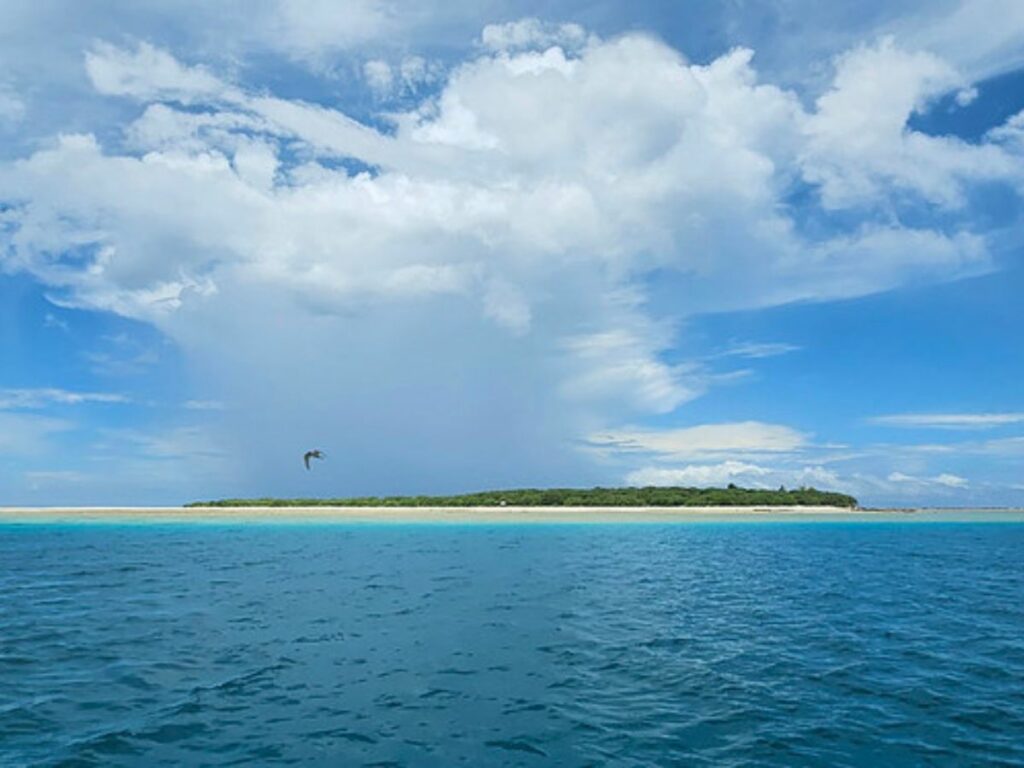 Remote tropical island with dense green vegetation and a narrow stretch of sandy beach, surrounded by calm turquoise water under a vast sky filled with billowing clouds. A single bird is flying above the ocean in the foreground.