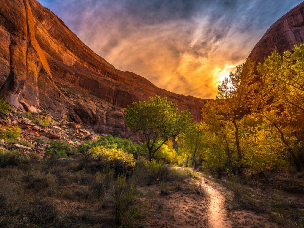 Autumn-colored trees line a sunlit trail through a canyon with towering red rock walls, glowing with orange light from a dramatic sunset sky.
