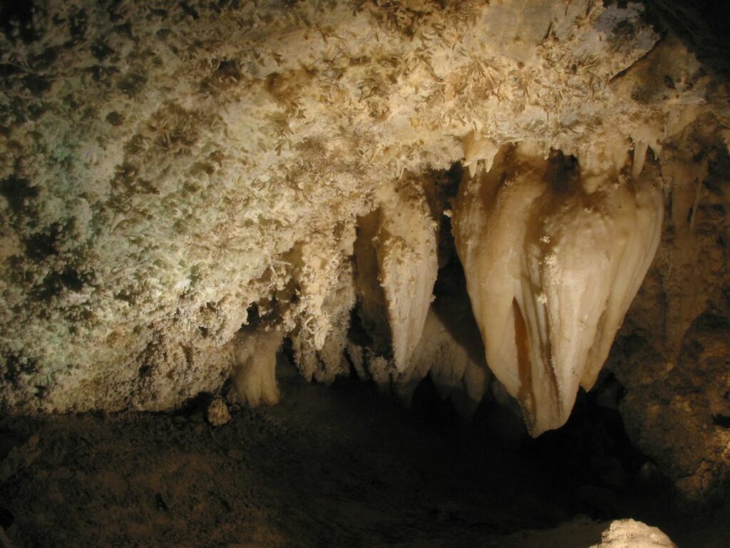 Close-up of a cave ceiling densely packed with jagged mineral formations including large, draped stalactites and delicate, needle-like crystals. Warm lighting highlights the textures and natural beige tones of the rock.