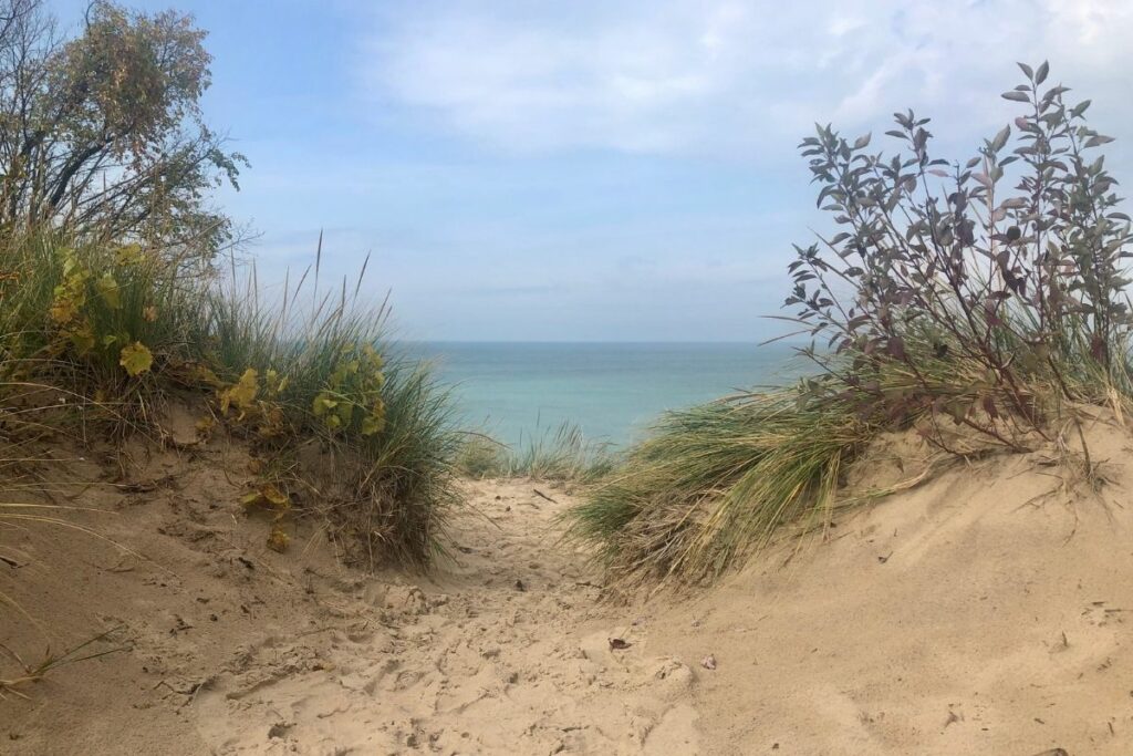 A sand trail heads into the dunes