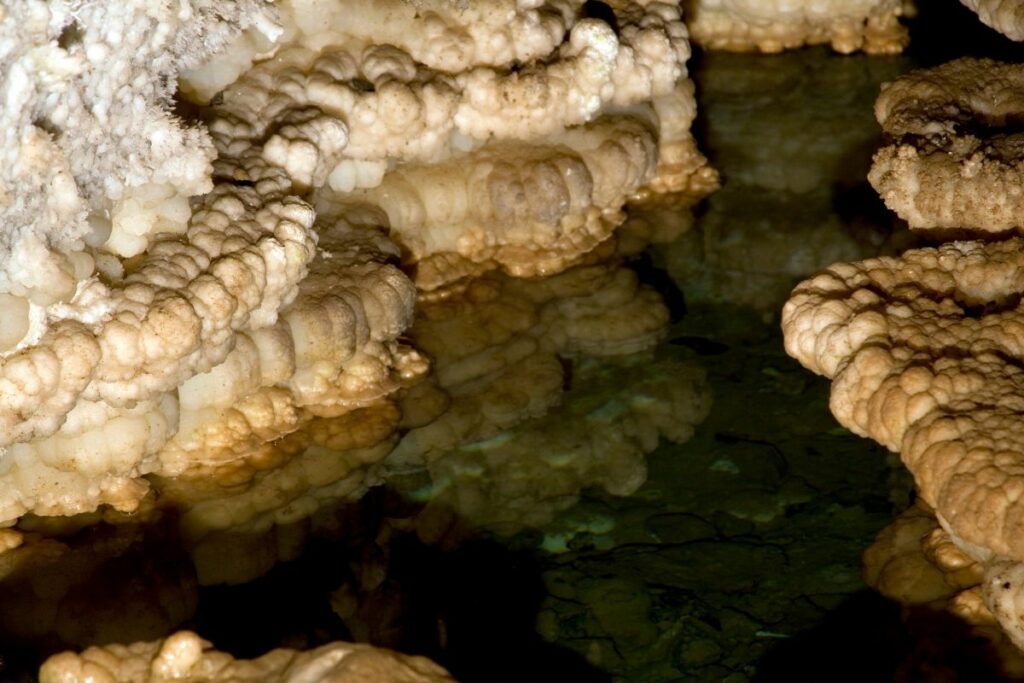 White popcorn-like structures in Timpanogos Cave