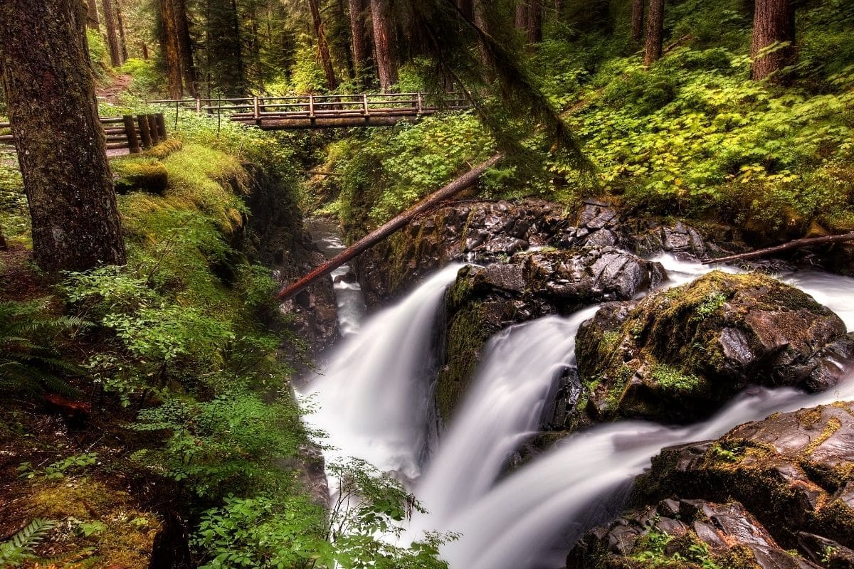 1 Day In Olympic: How To Spend One Day In Olympic National Park ...