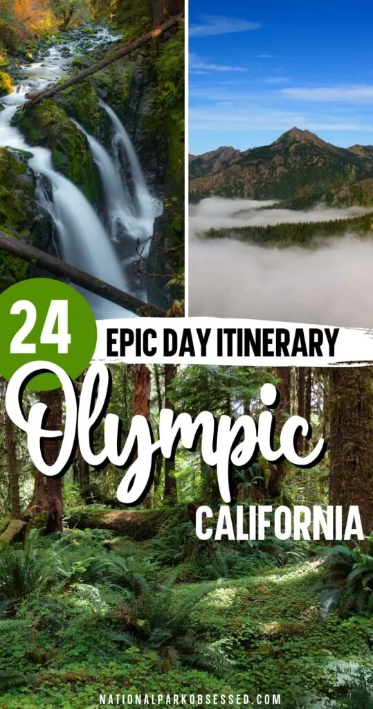 Want to make the most of your one day in Olympic National Park?  Click HERE to learn how to make the most of your 1 day in Olympic National Park.

things to do in Olympic National Park / Best hikes in Olympic National Park / Seattle Day Trip / Olympic Day Trip / Olympic National Park day trip
