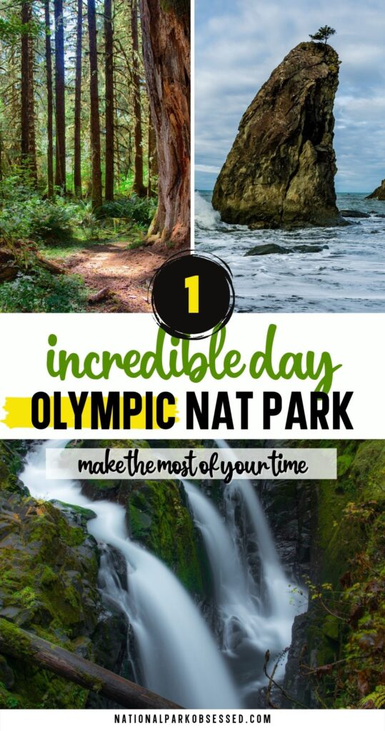 Want to make the most of your one day in Olympic National Park?  Click HERE to learn how to make the most of your 1 day in Olympic National Park.

things to do in Olympic National Park / Best hikes in Olympic National Park / Seattle Day Trip / Olympic Day Trip / Olympic National Park day trip