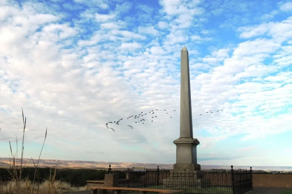 An obelisk with birds flying in the background