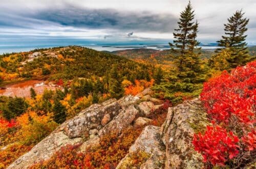 A panoramic view from a mountain summit in autumn, showcasing a vast landscape of vibrant fall foliage in shades of orange, red, and yellow, with evergreen trees sprinkled throughout. Overcast skies hint at the changing weather, and the distant horizon reveals a calm sea meeting the cloudy sky.
