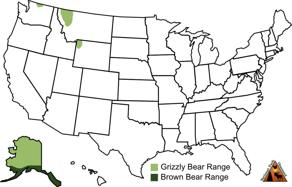 Map of the United States showing the range of grizzly bears and the range of brown bears.