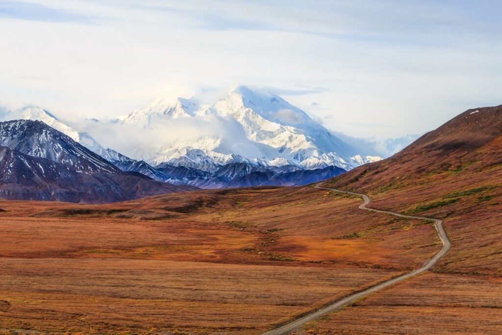 The Denali Park road leads into the park with the mountain in the background. 