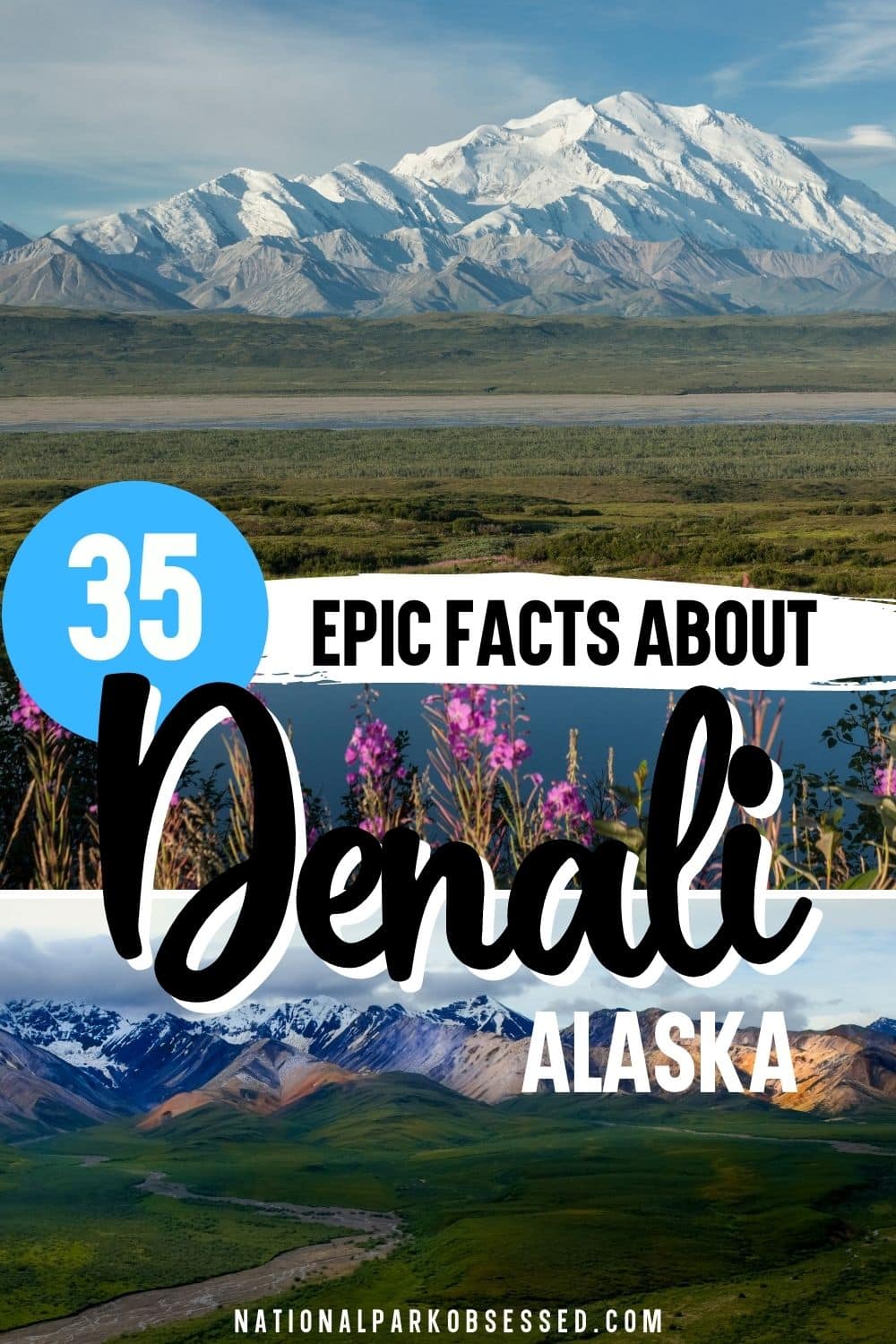 35+ Extraordinary Denali Facts & Statistics National Park Obsessed
