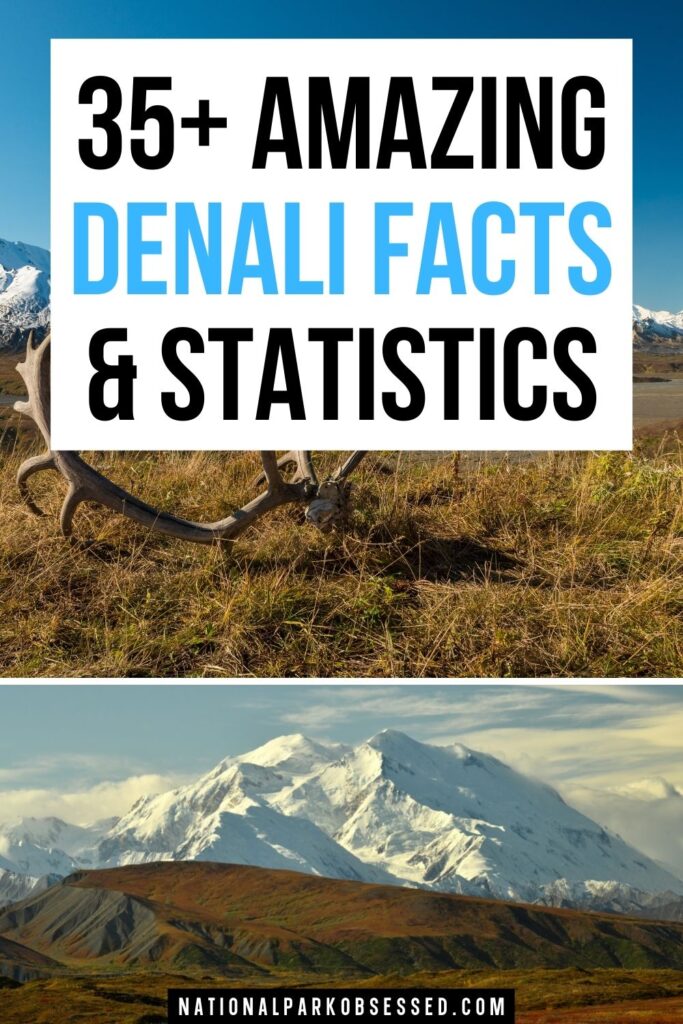 Looking to learn more about Denali and Denali National Park?  These interesting Denali facts and statistics will blow your mind.

facts about mt mckinley	/ how high is denali / facts about mount mckinley / height of denali / facts about denali national park / fun facts about mount mckinley / denali height / mount mckinley facts / mt mckinley facts / denali national park facts / height of mt denali / mt denali elevation / height of mt mckinley	