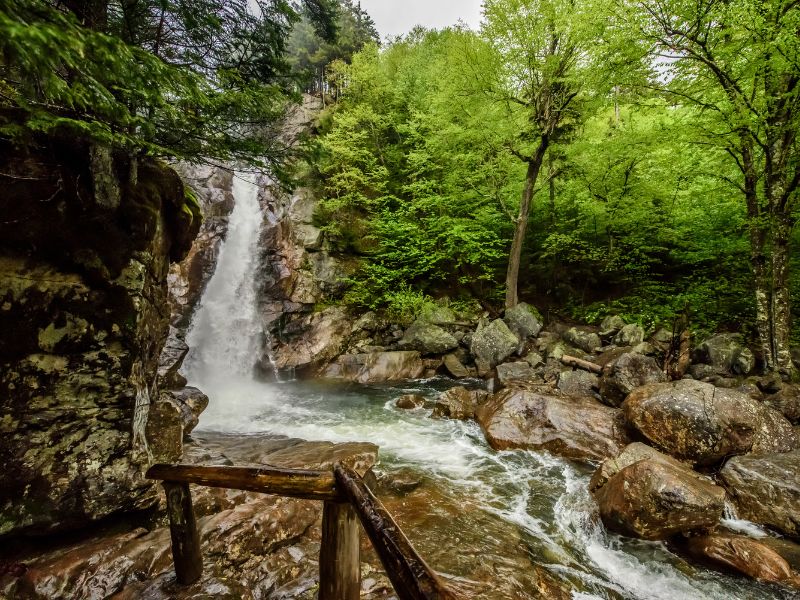 A waterfall plunges over a rocky cliff into a rushing stream surrounded by lush green forest. A wooden railing borders the rocky trail beside the falls.