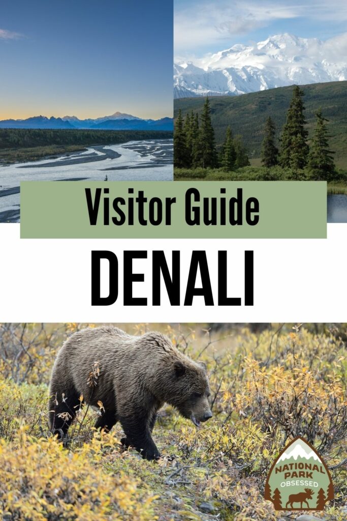 Are you planning a trip to Denali National Park? Click here for the complete guide to visiting Denali National Park written by a National Park Expert.