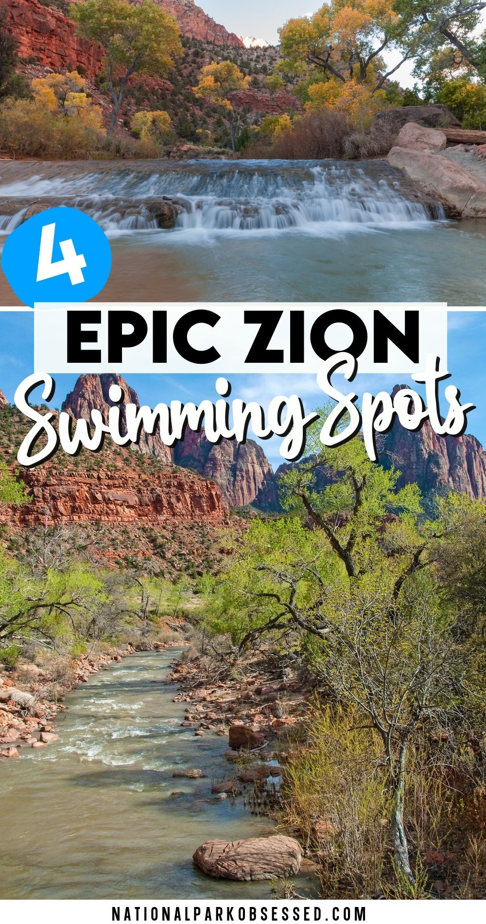 Zion National Park Swimming Can You Swim In Zion National Park? (2024