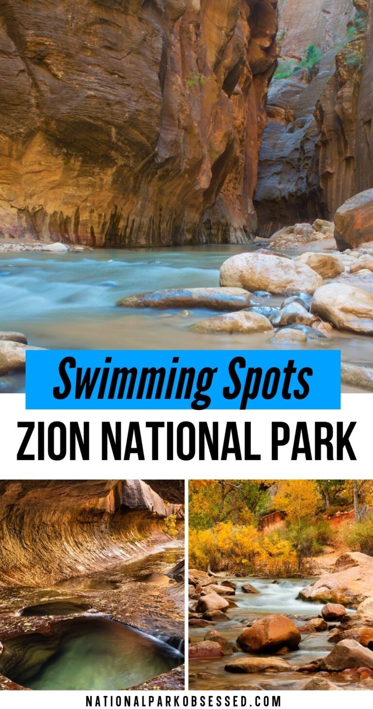 Zion National Park Swimming Can You Swim In Zion National Park? (2024