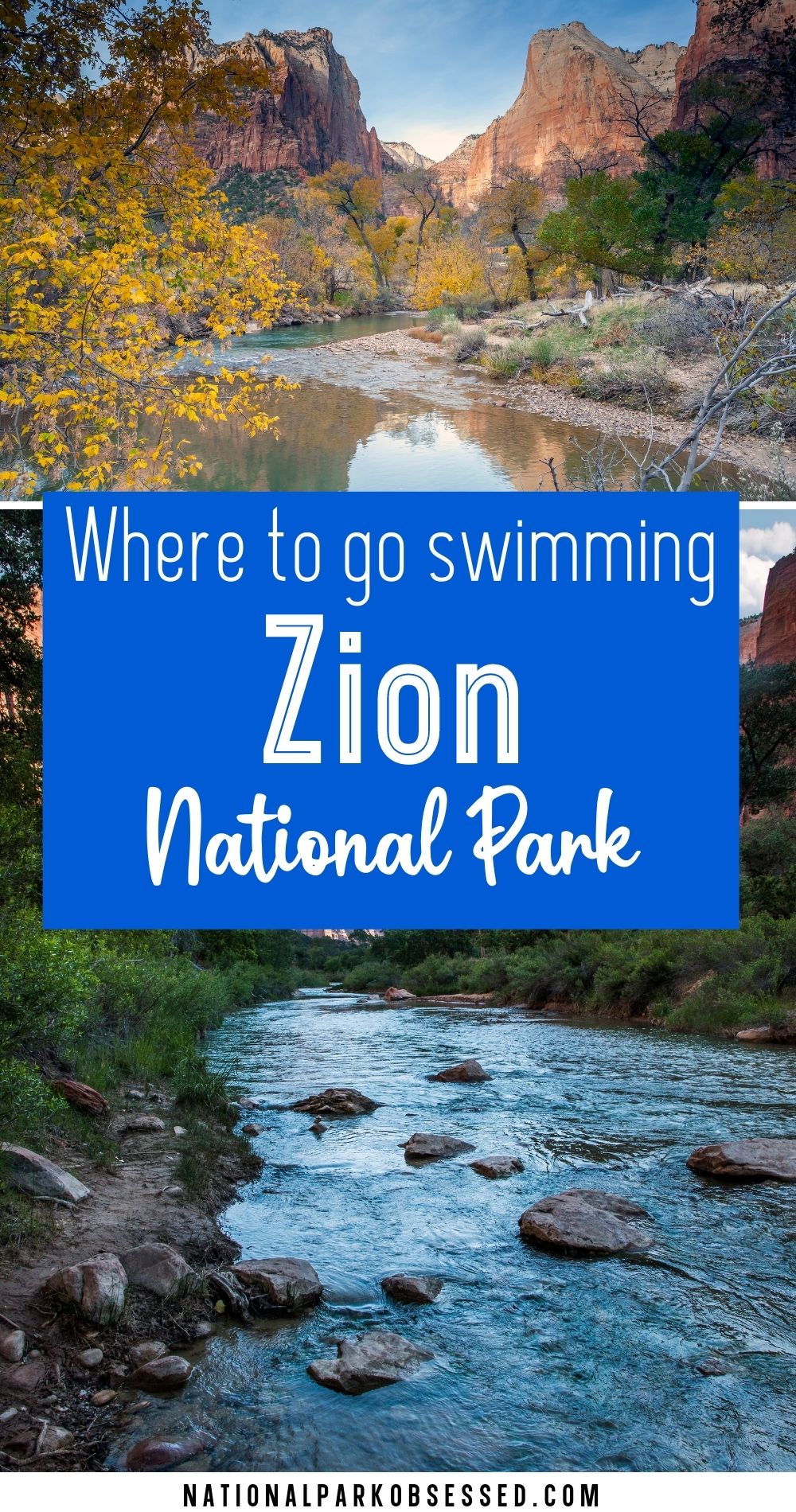 Zion National Park Swimming Can You Swim In Zion National Park? (2024