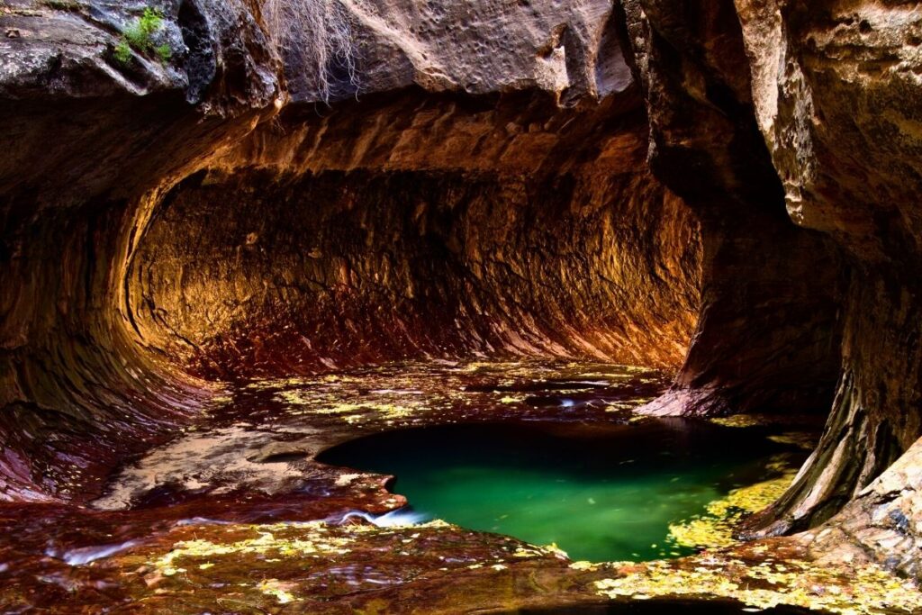 A narrow canyon that looks like a subway tube with a green pool of water